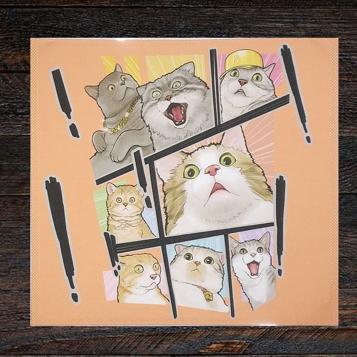 oh my cat 2.jpg