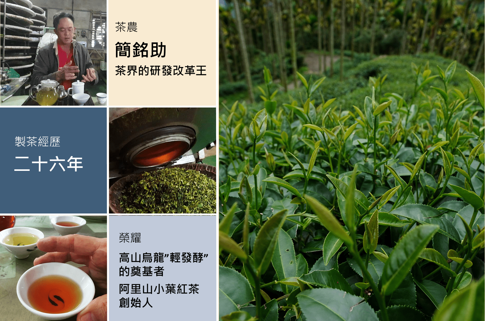 簡銘助 紅茶茶園.png