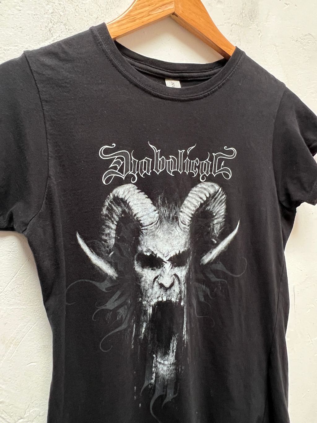 image_4EF08760-668B-444C-8F7B-D8293483E281_1774556271