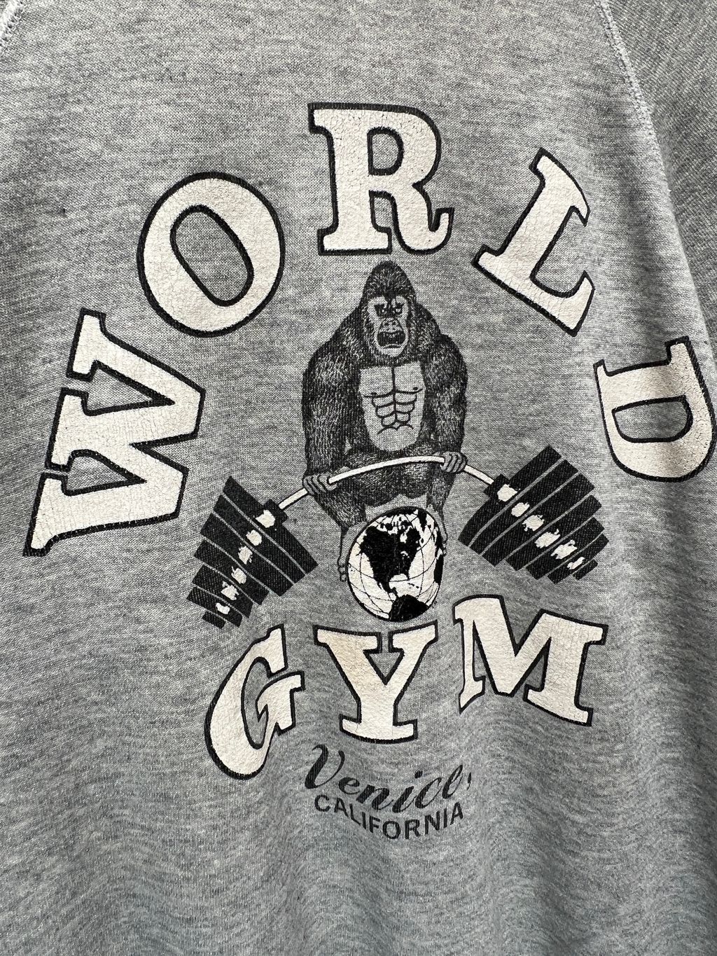 image_850DB562-547B-439F-AC7C-91603E234870_1774556874