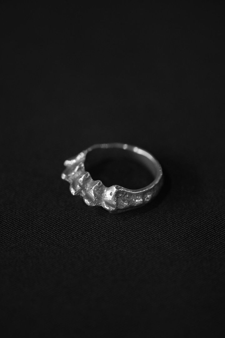 image_329BAD62-D2B8-4956-981F-75AEF42D8B55_1741509488