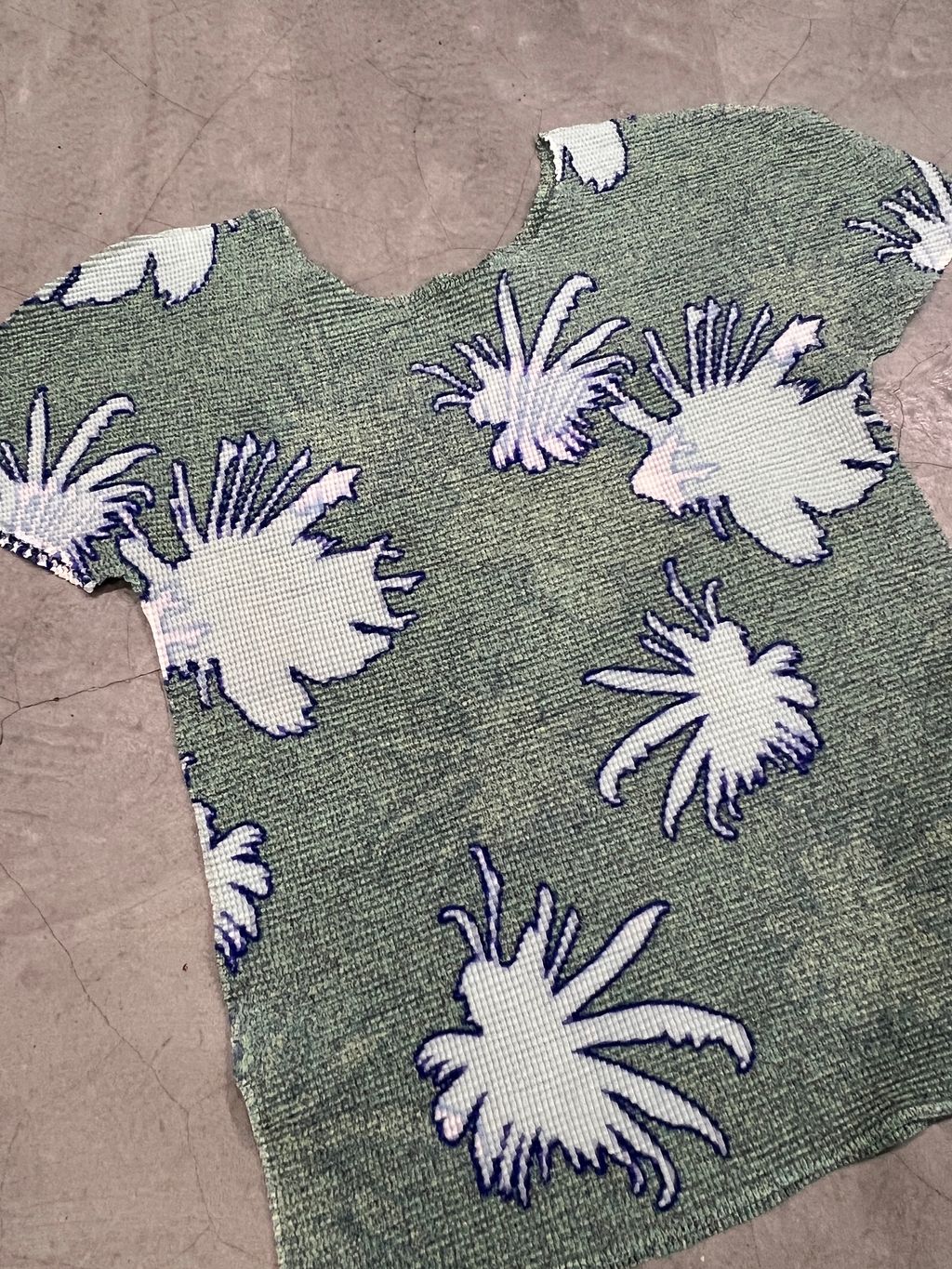 image_3EADA1C4-9976-4605-86D0-CE2C18712405_1765887012