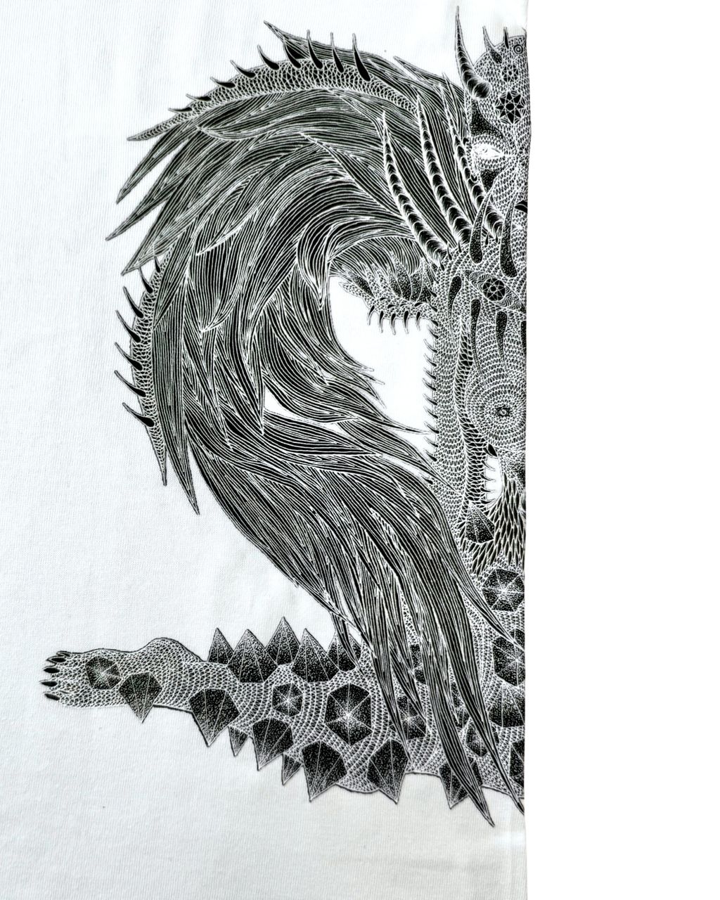 image_3CA1C6F9-CBD6-4A3D-B4FA-FCCC89C2AE93_1768380254