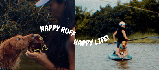  | 很春毛小吃Happy Ruff 