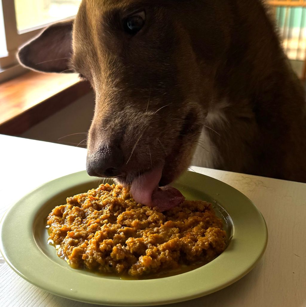 image_974F6D57-4D98-429C-A474-0766CB224C1B_1757055157