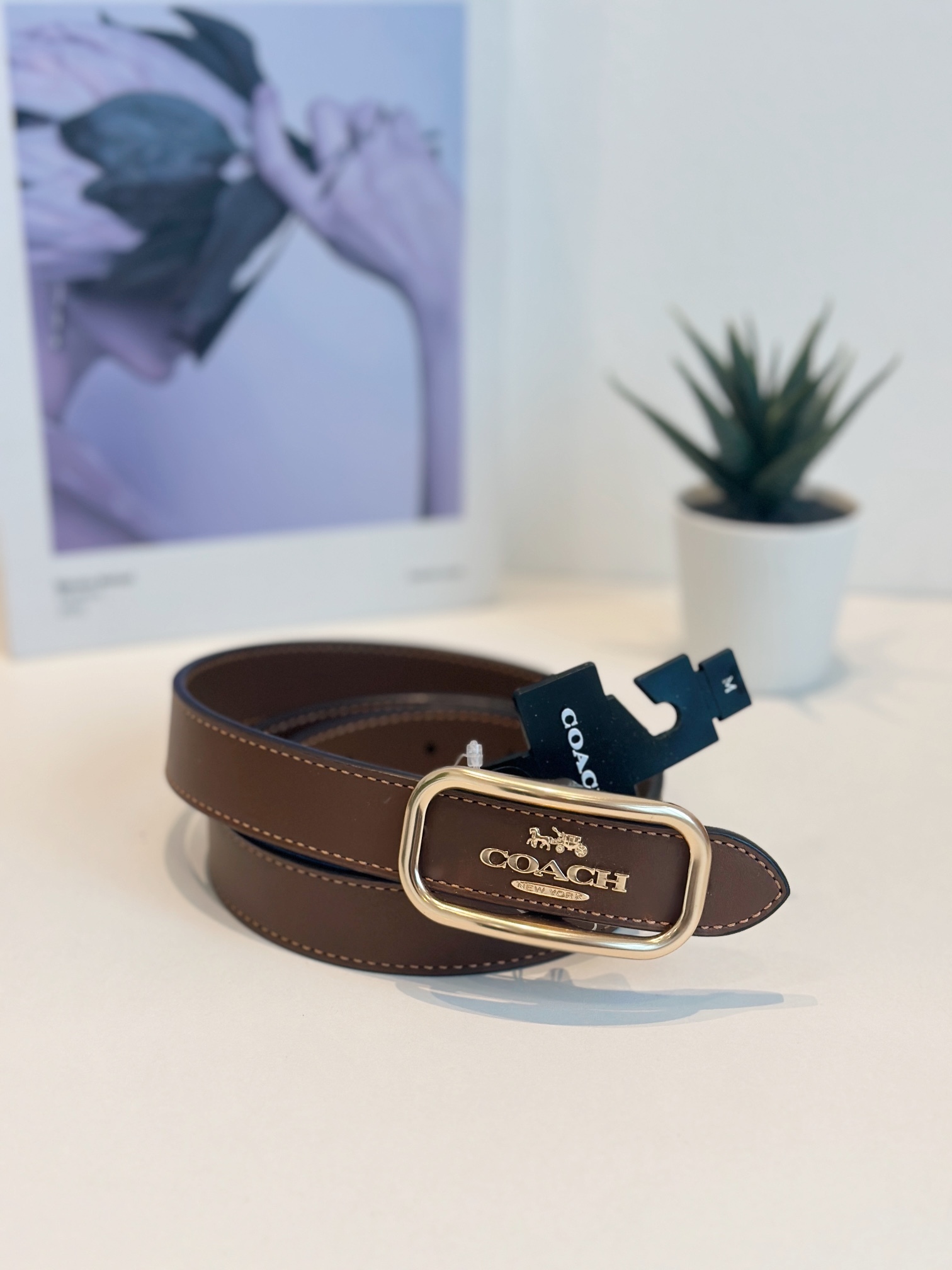 COACH CE969 MORGAN RECTANGLE BUCKLE BELT IN BROWN