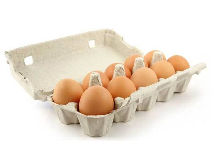 telur-10-biji