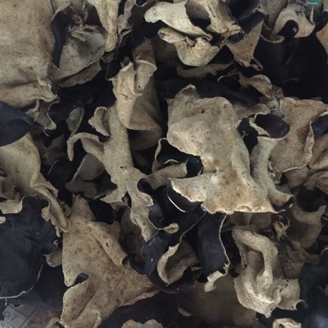 dried-black-fungus-rotated