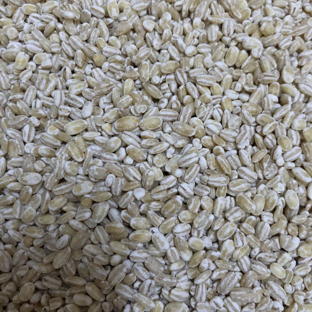 barley-scaled