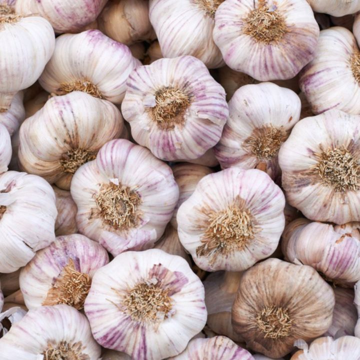 garlic-china.jpg