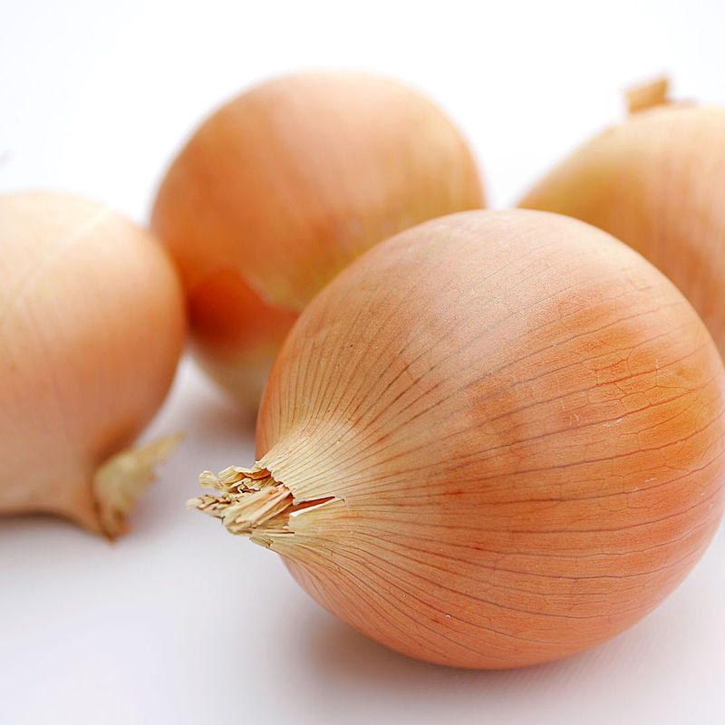 Onion Holland 500g 荷兰大葱– 303 Runcit - Groceries Convenience Store