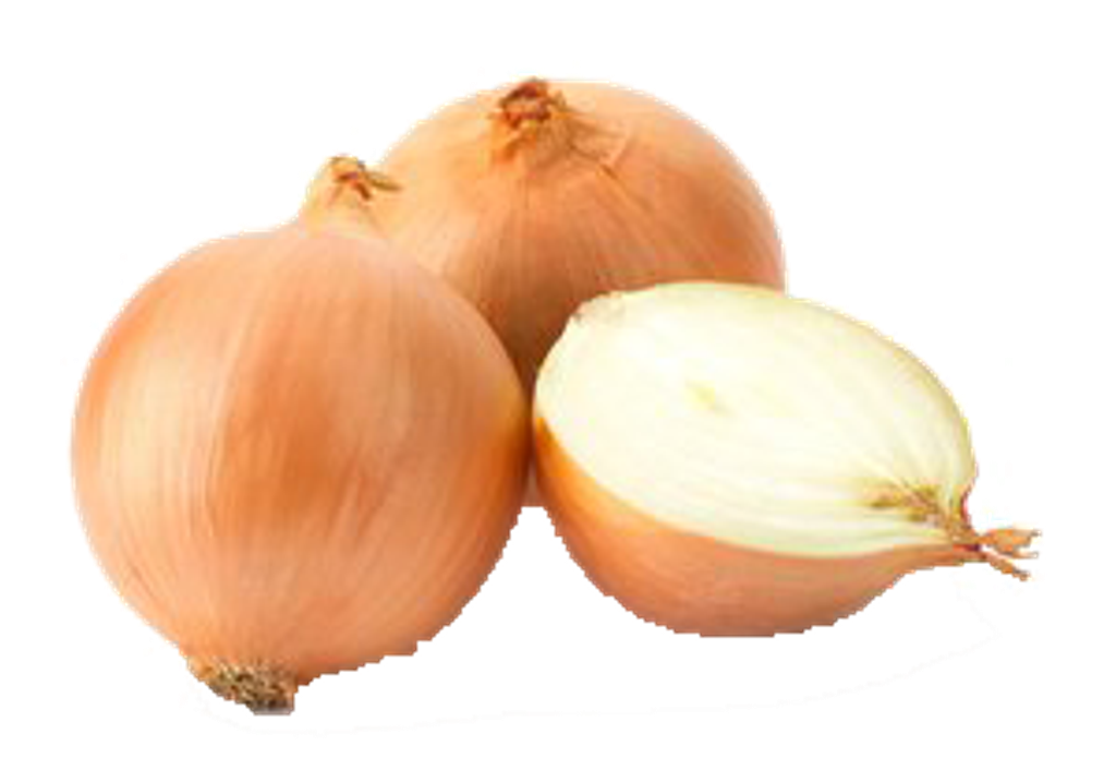bawang Holland.png