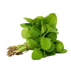 baby bayam baby spinach samaa fruits vegetables baby bayam baby spinach