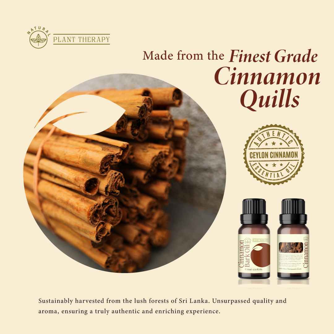 oriceylon-cinnamon-essential-oil-ceylon-vegan-cover7_8_11zon