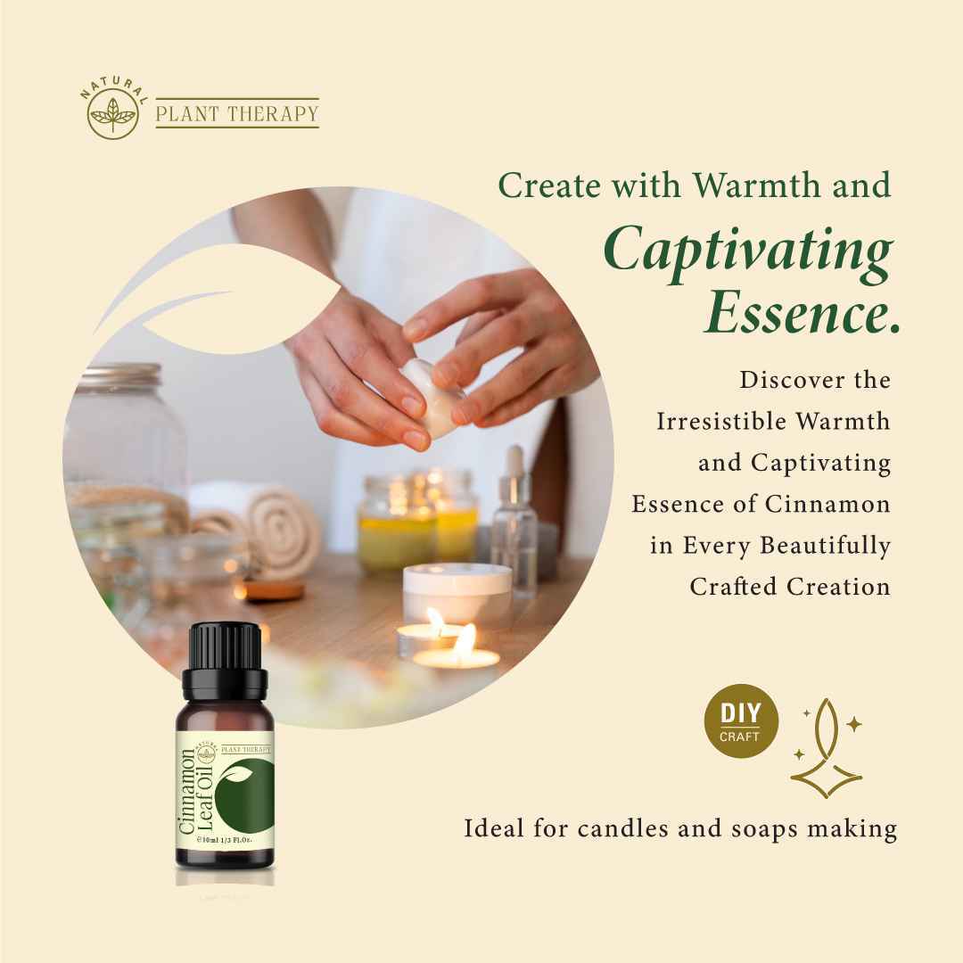 oriceylon-cinnamon-essential-oil-ceylon-leaf-oil8_12_11zon