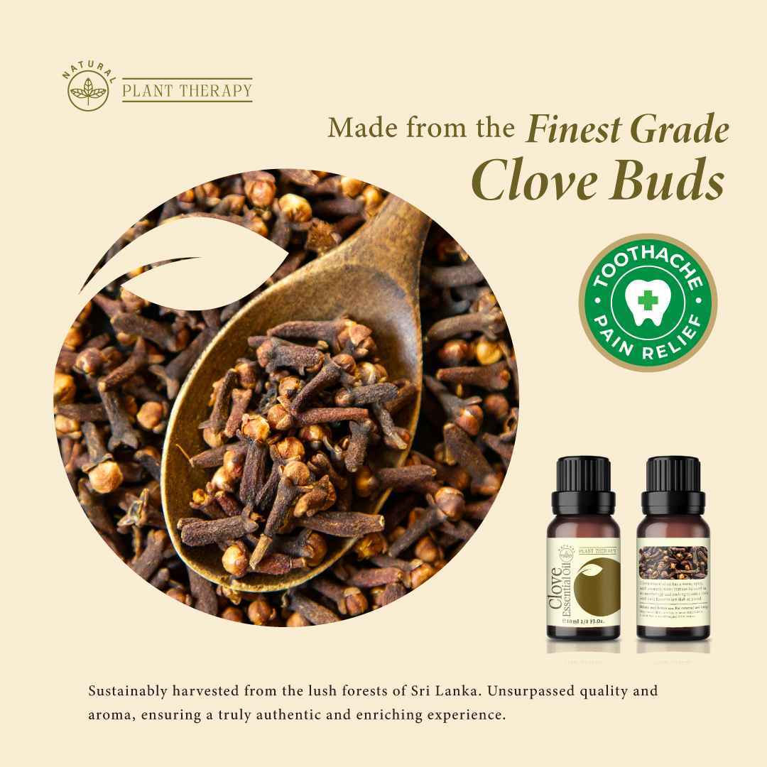 oriceylon-clove-essential-oil-ceylon-vegan11_13_11zon