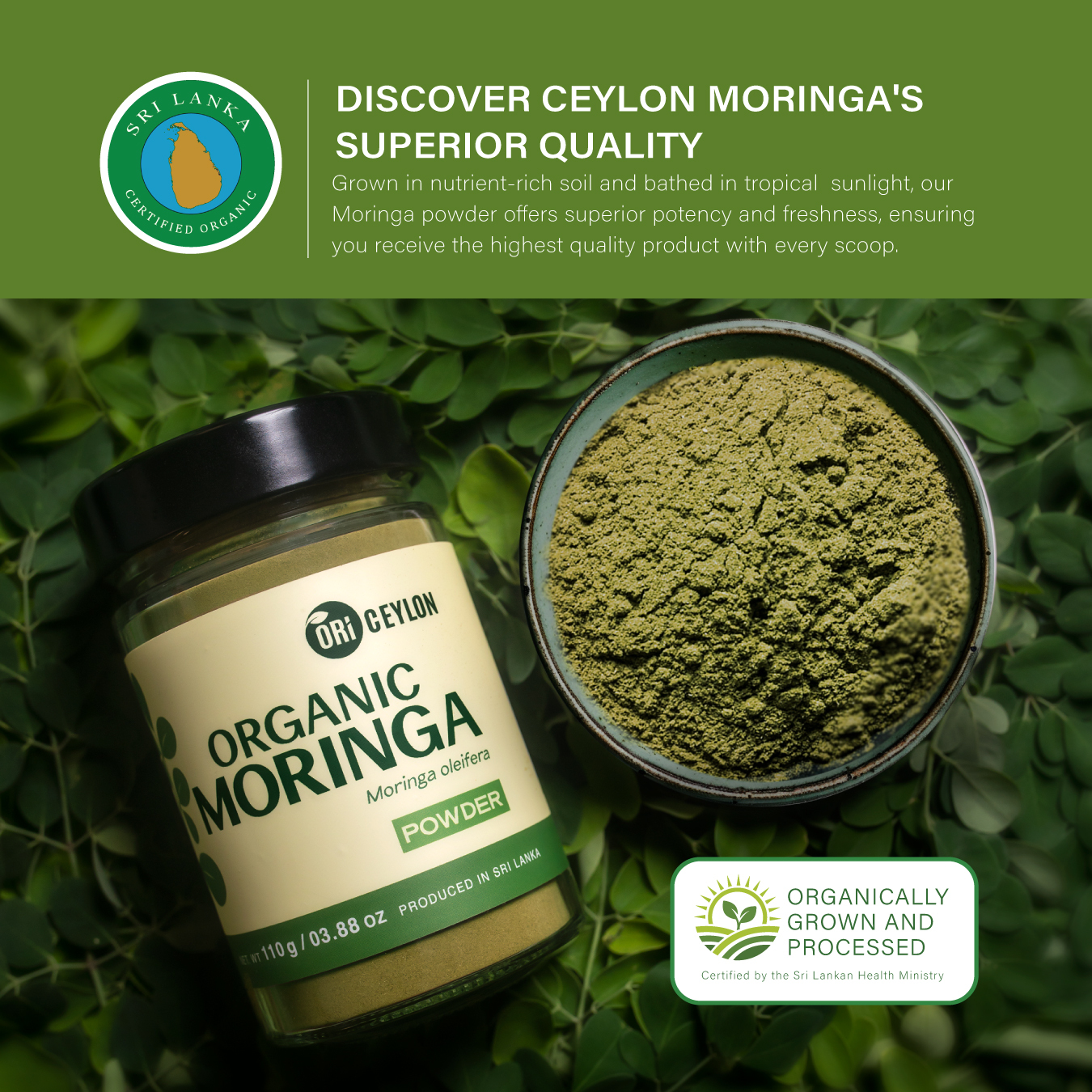 Oriceylon-moringa-powder-oragnic-and-pure-10