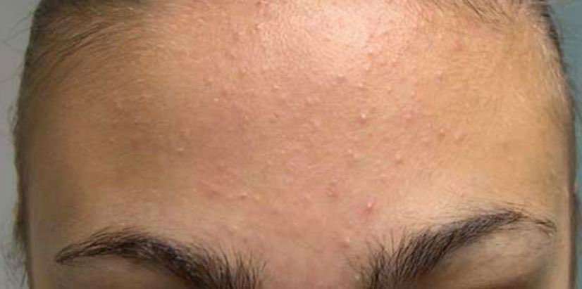 JERAGAT.png JERAGAT.png