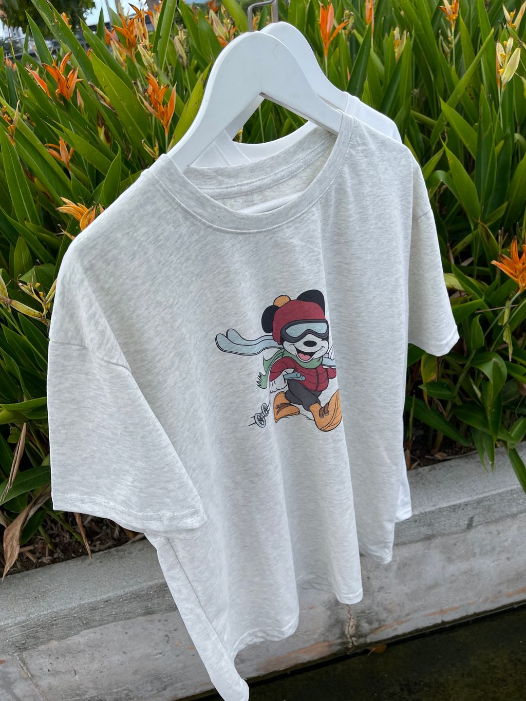 image_5D053458-6D1B-46F3-BFAC-A4E2C1498A03_1769401166