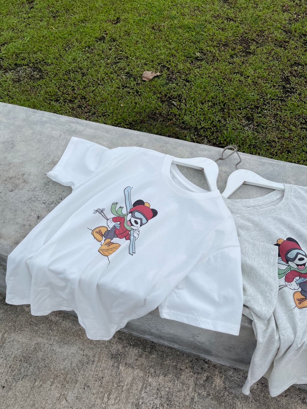 image_C51DEA1D-D3DA-4E6A-9010-59F6E1FB8935_1769401167