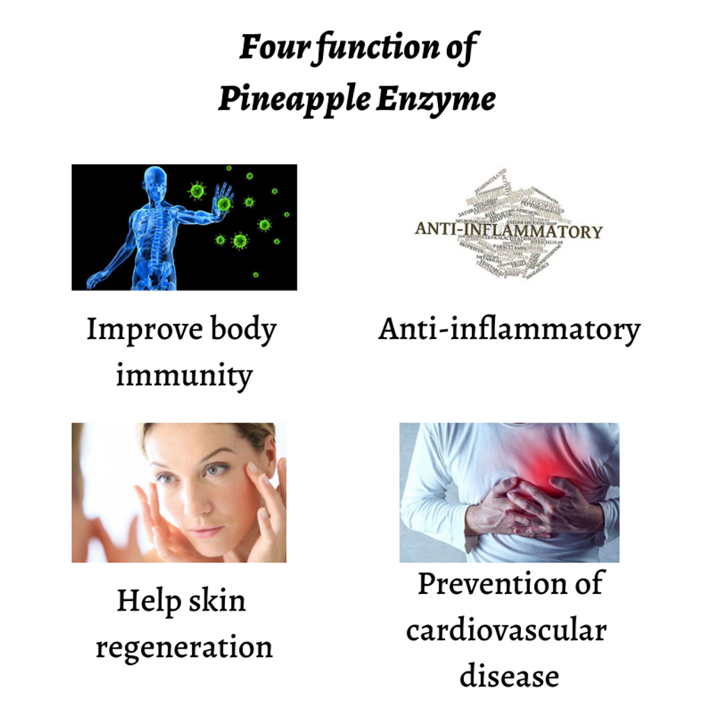 Four function of Pineapple Enzyme.png