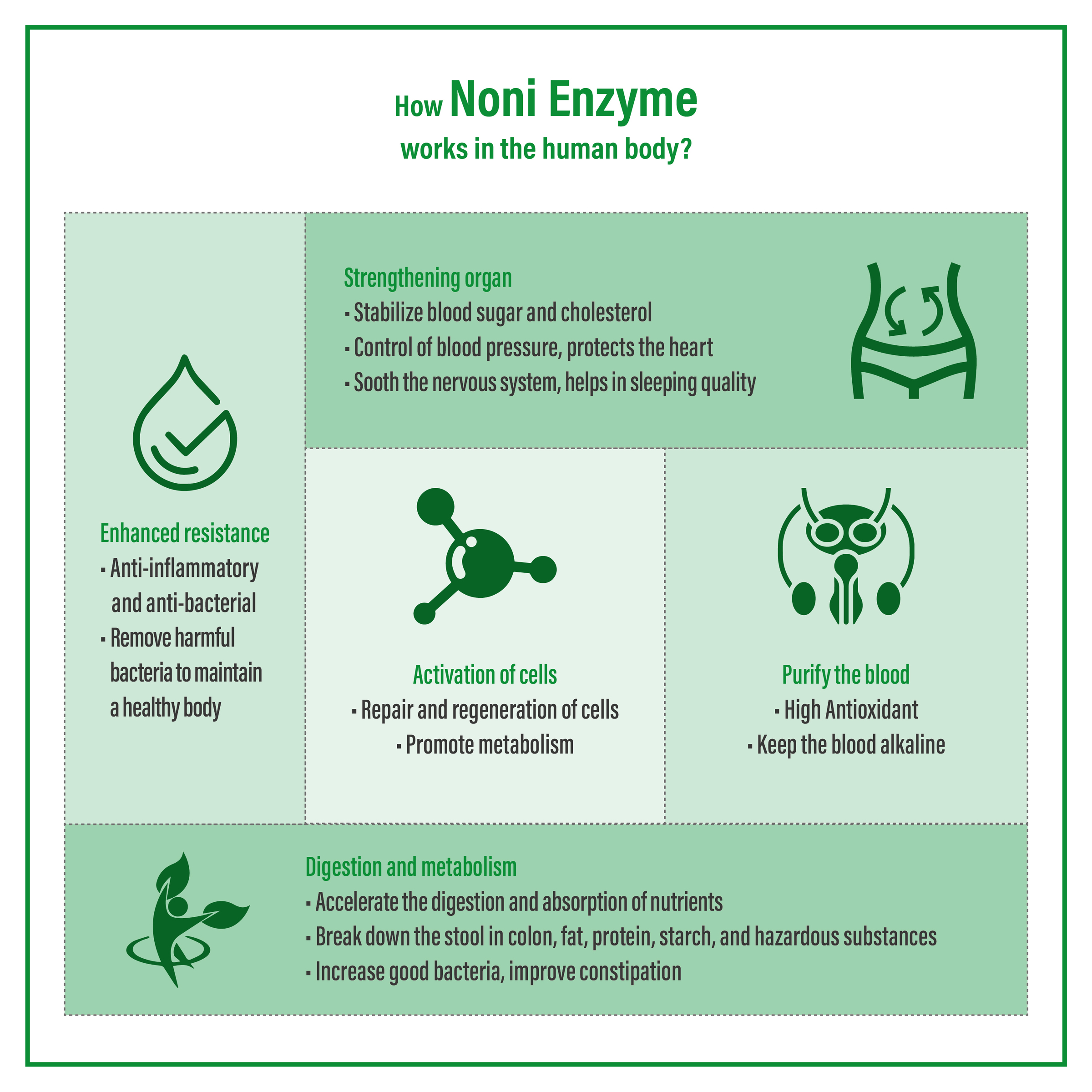 Roots Noni Enzyme Extracts 500ml Bio Tree Wellness