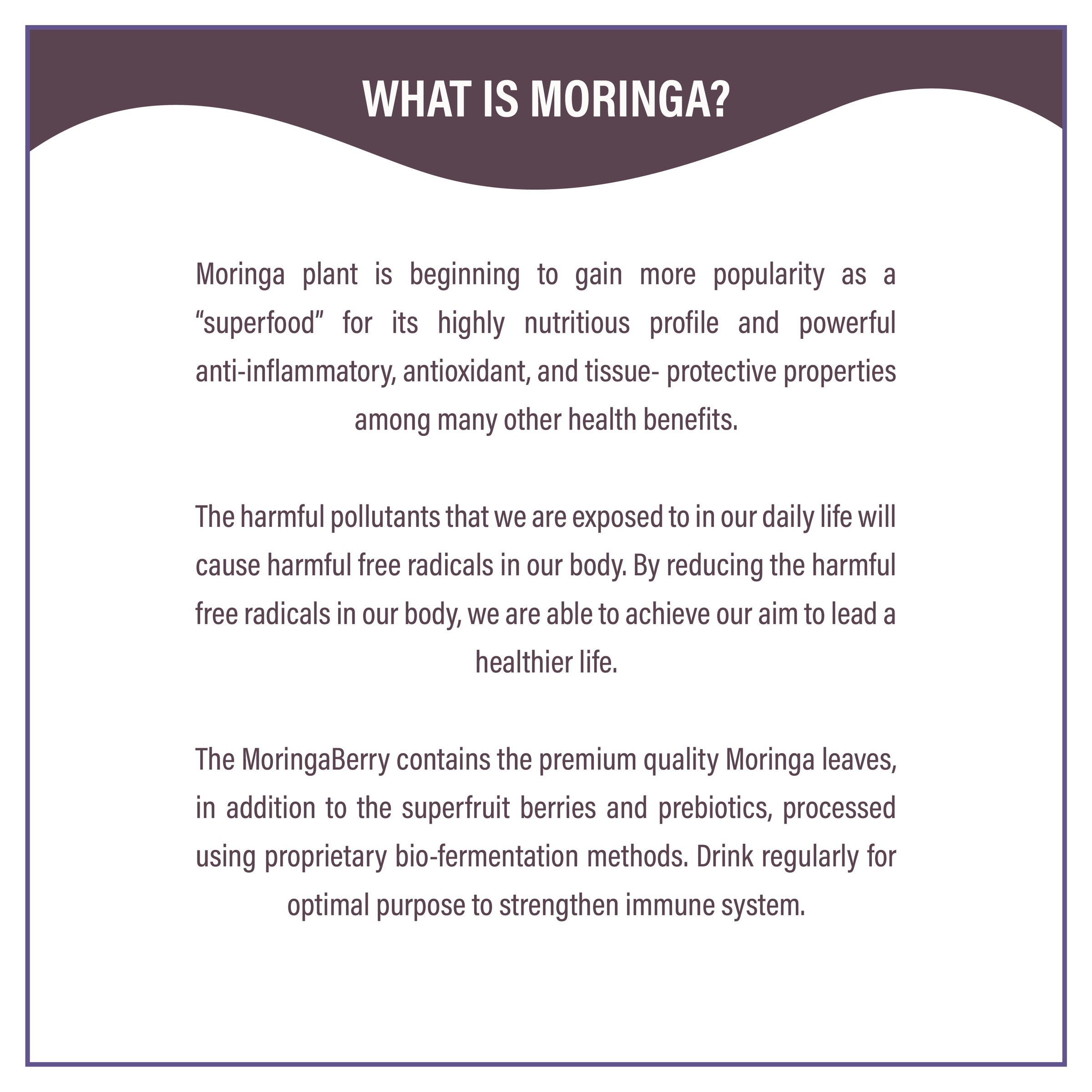 MoringaBerry-04.jpg