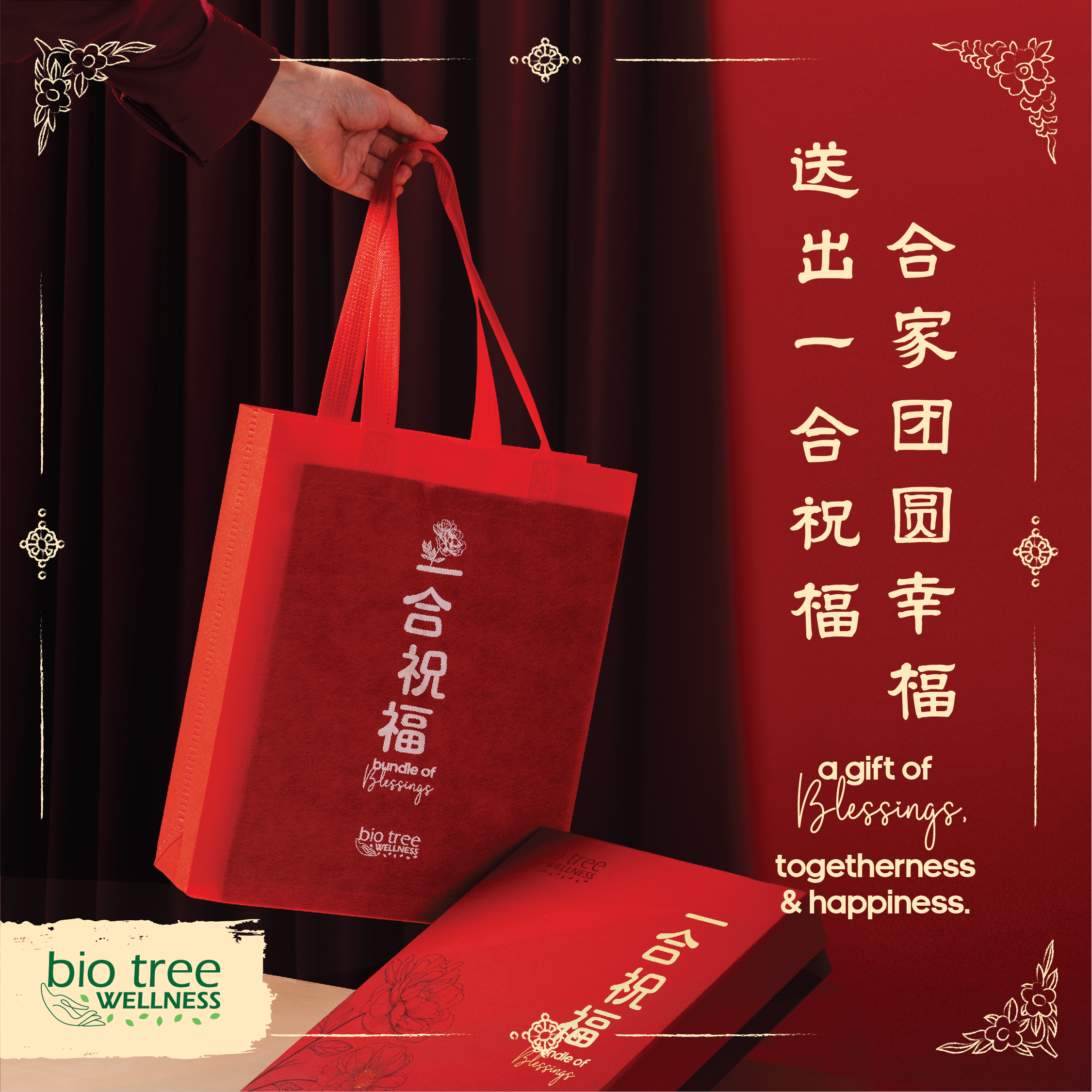 BTB_143_CNY2025_MarketingKit_V1-06