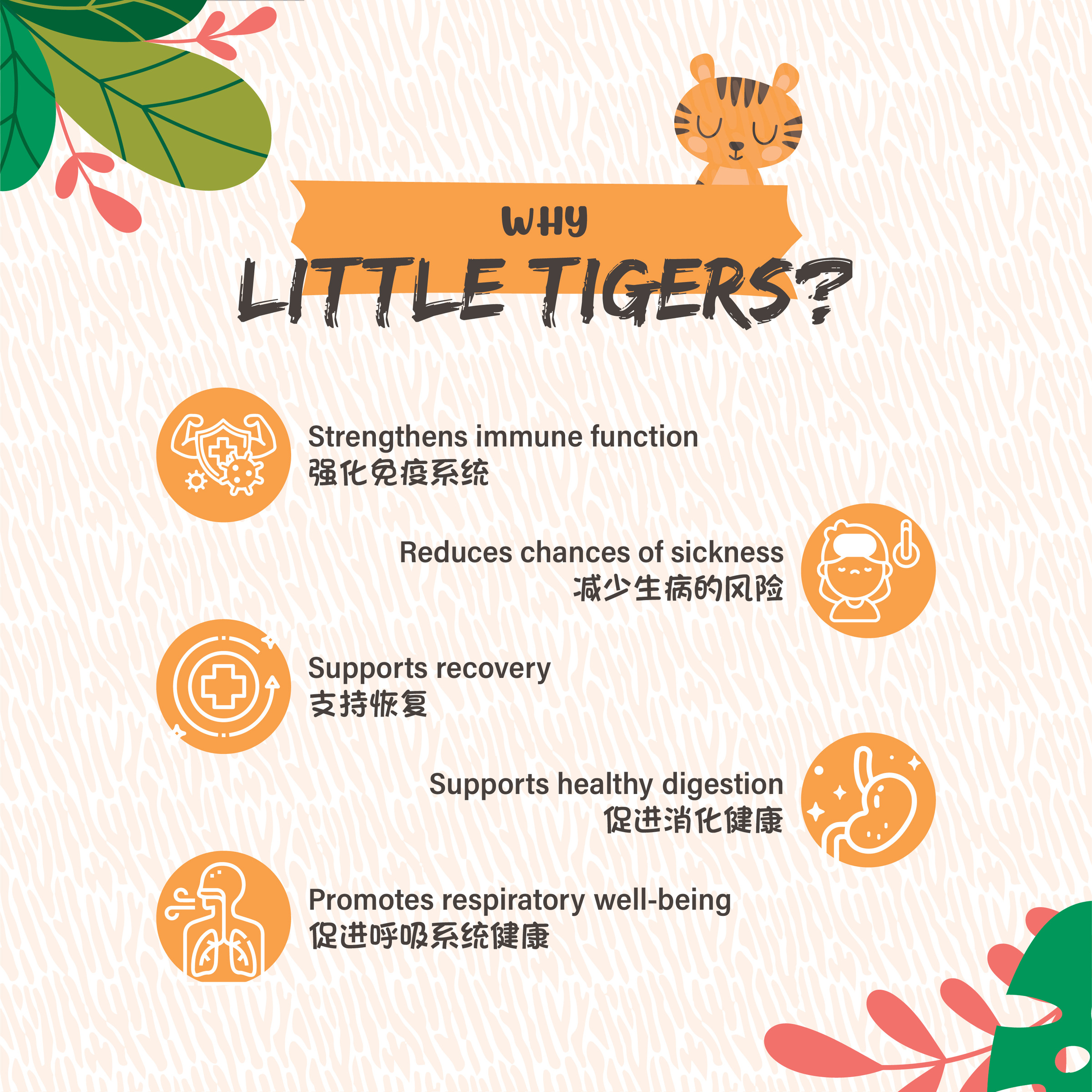 LittleTigers-03
