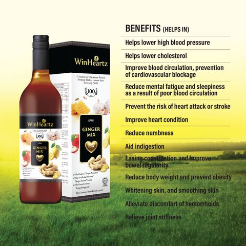 WinHeartz Ginger Mix Botanical Beverage Mix Ginger, Garlic and Lemon 姜蒜 ...