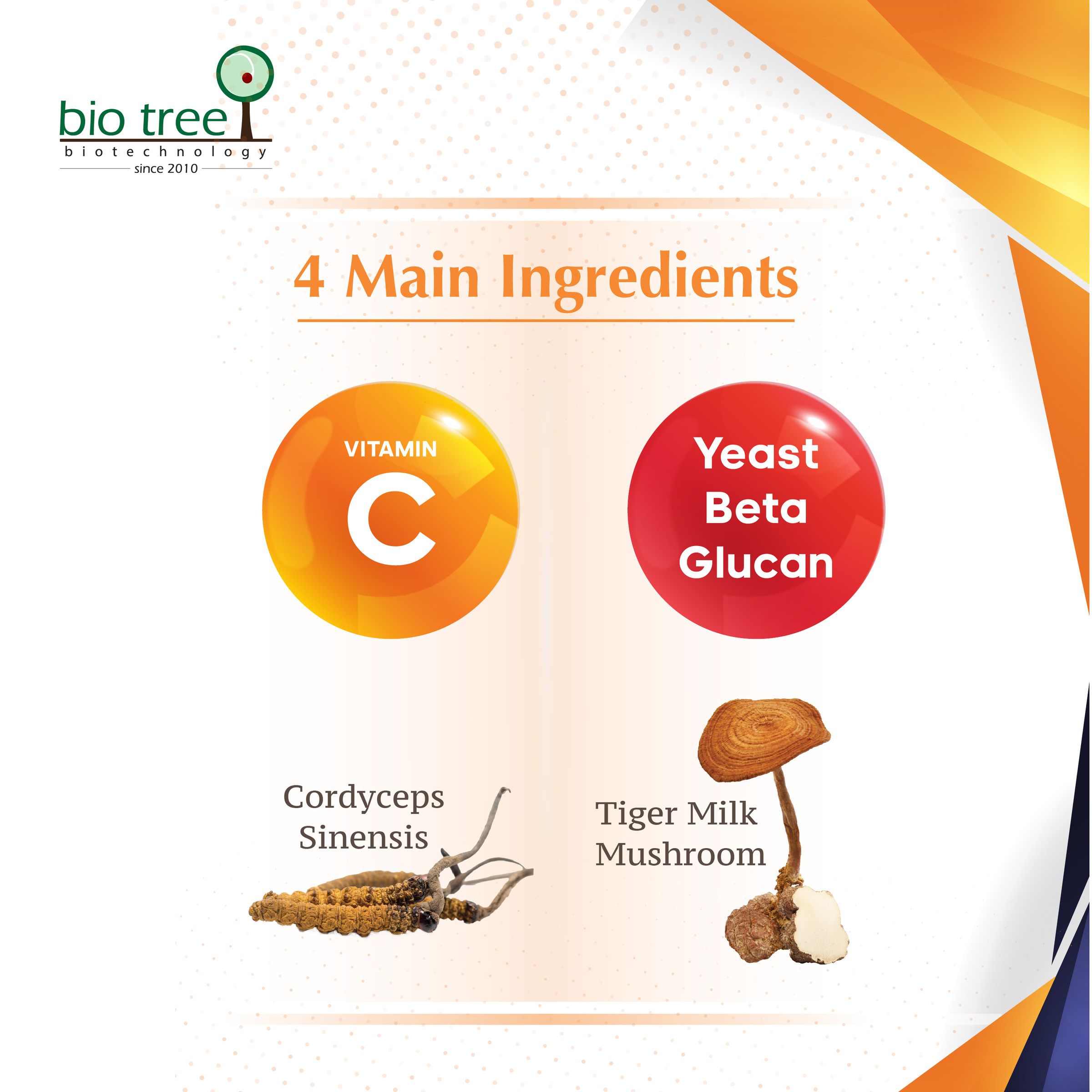 Immublend_Marketplace-07