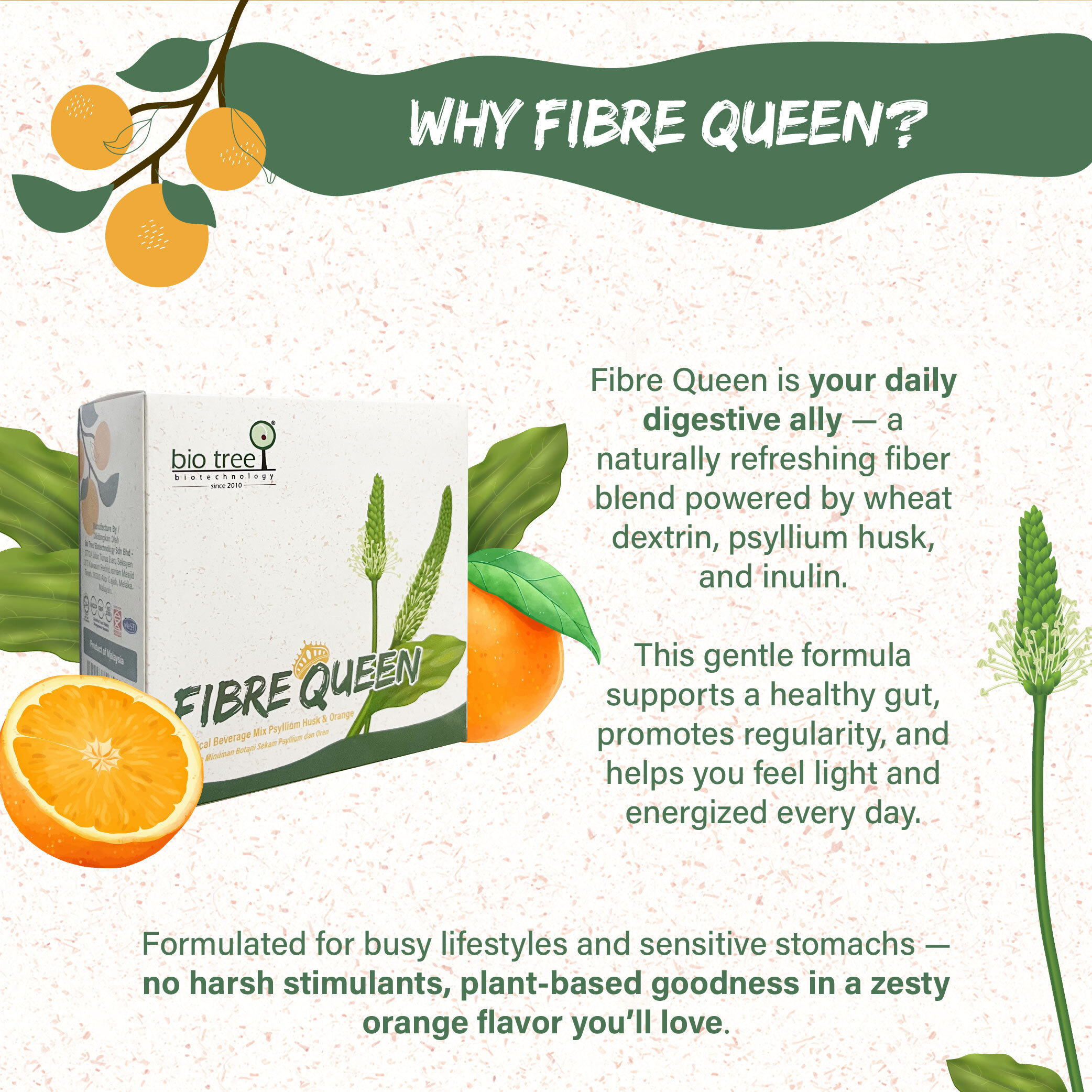 BTB_149_FibreQueen_Marketplace Info-03