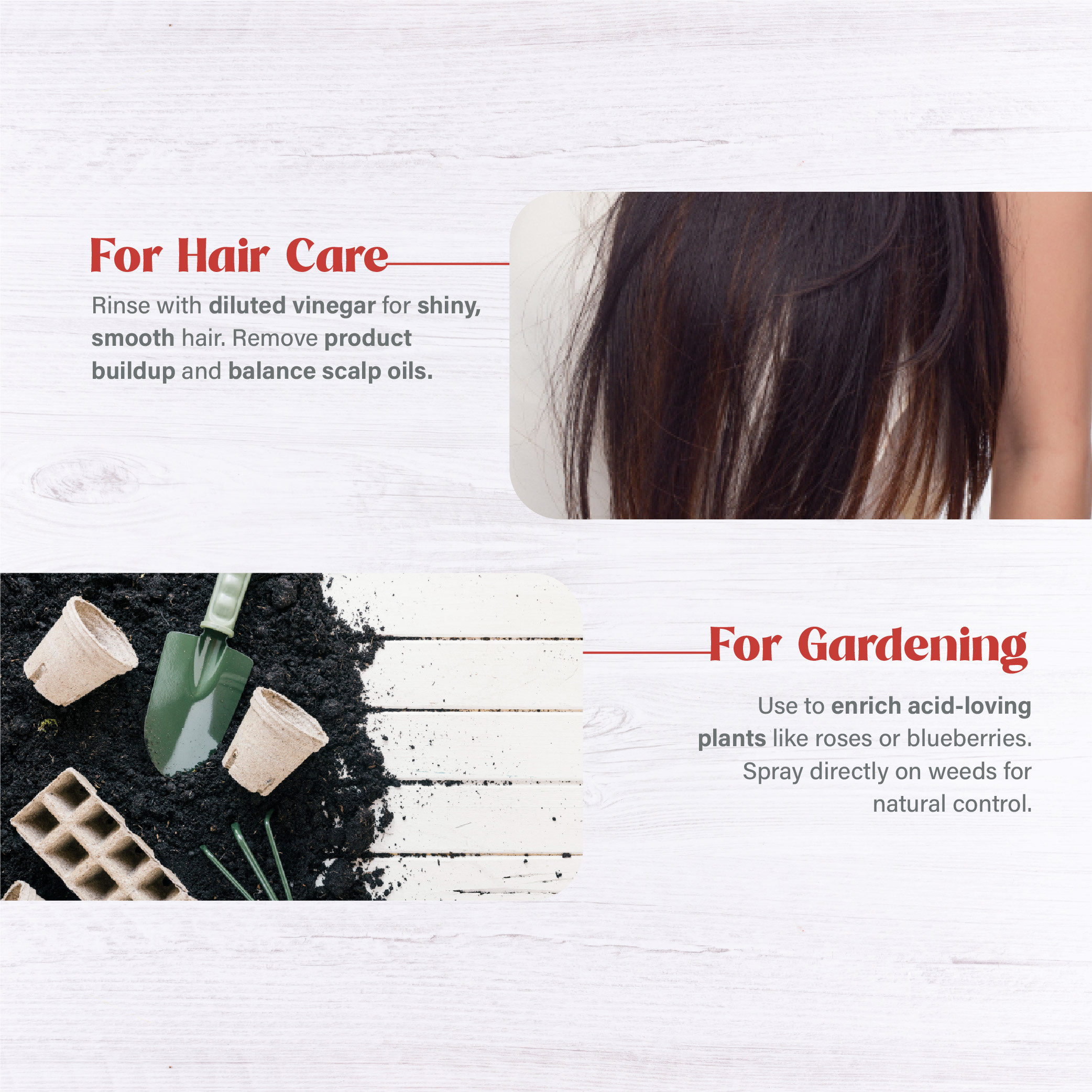 BTB_058_ACV_Marketplace Info-06