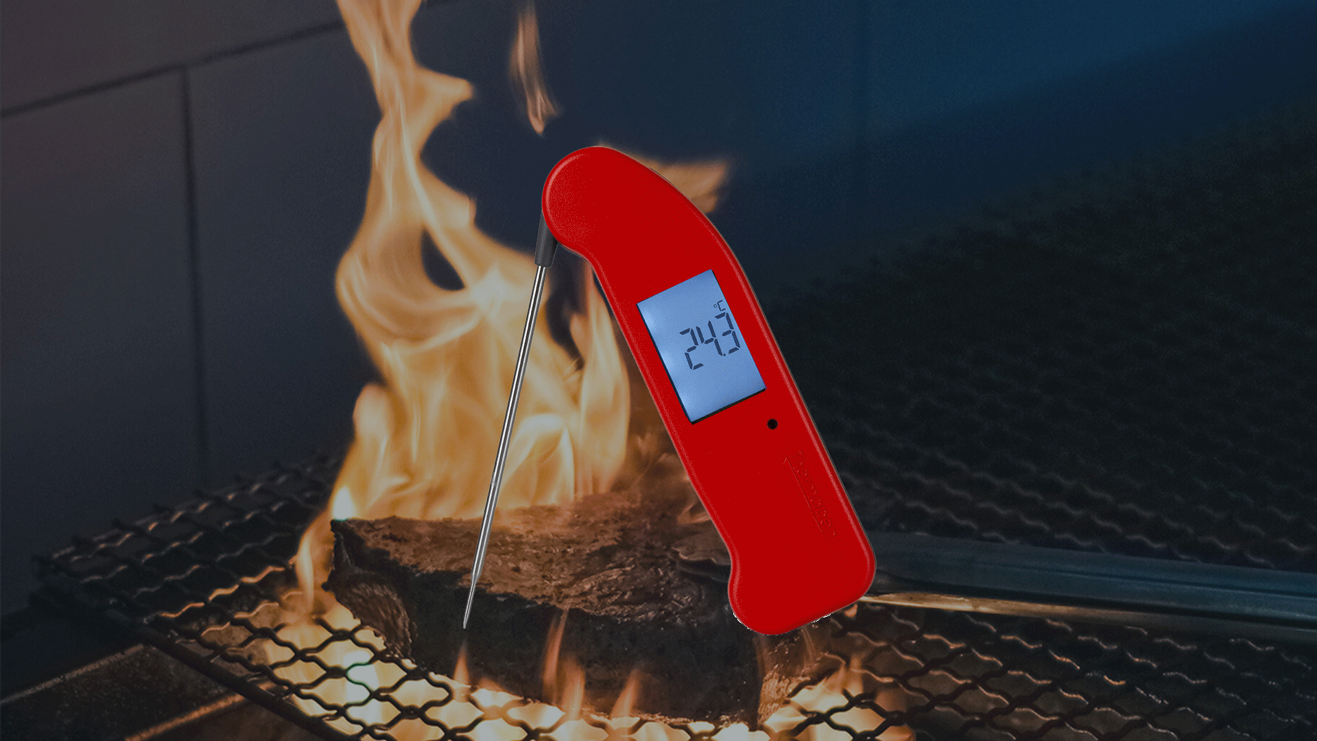 Rare the Food Co | THERMAPEN ONE