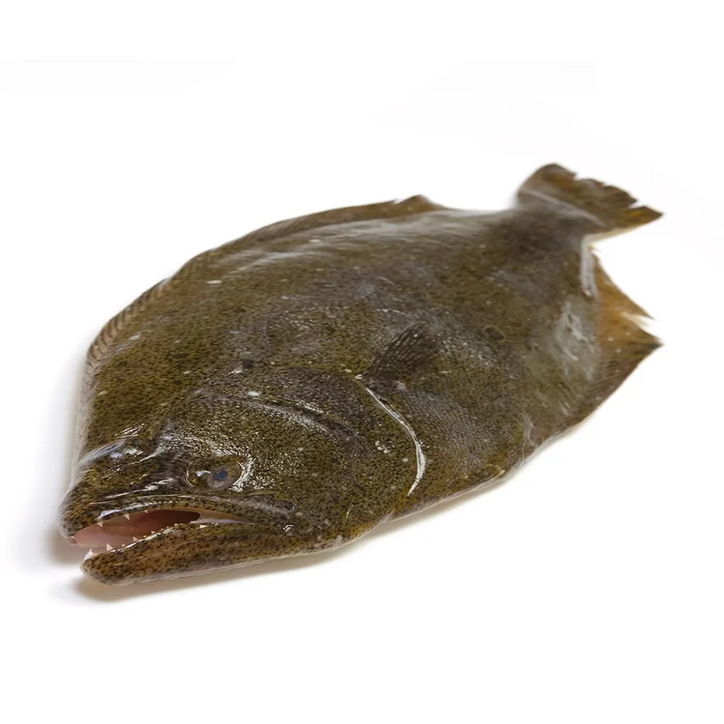 Hirame Engawa 1.jpg