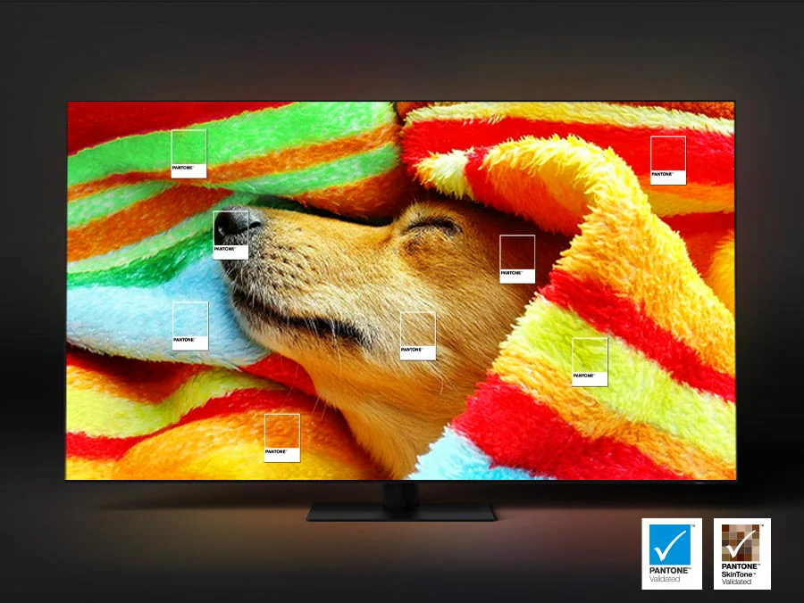 Description: A dog is wrapped in a colorful blanket. Pantone validated and Pantone SkinTone validated colors are emphasized. 