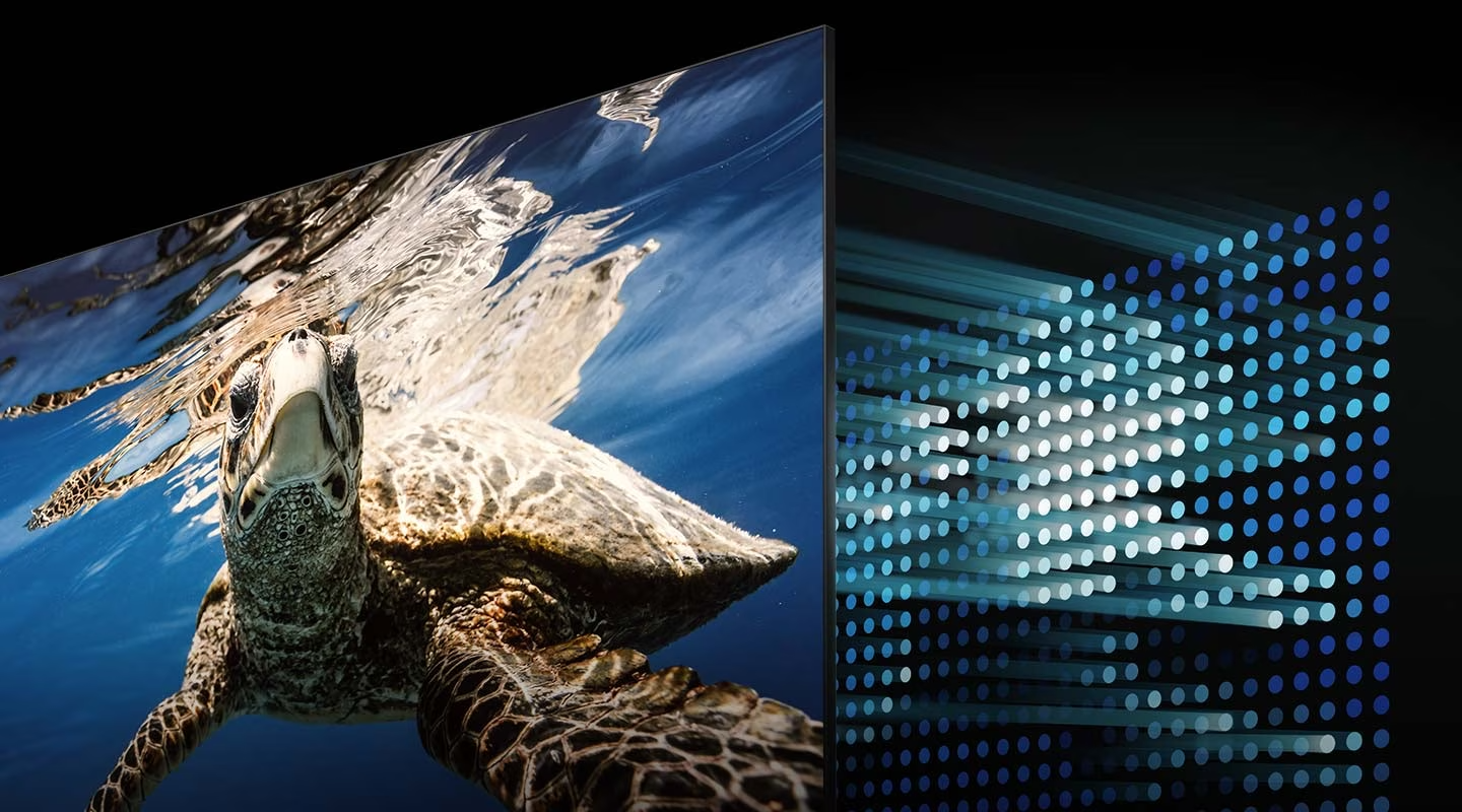 Description: A QLED TV shows a turtle swimming. Behind the QLED screen are LEDs controlling the contrast level of the display.