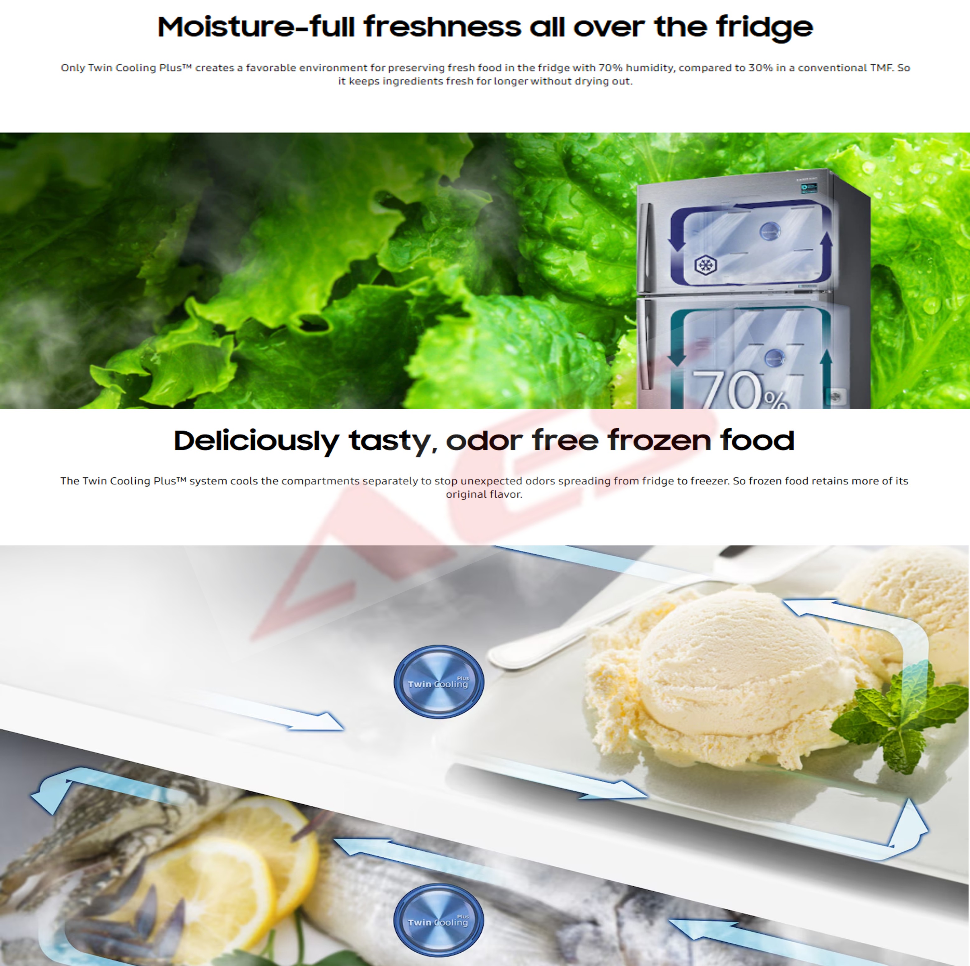 RT-62K7005BS BLACK 06