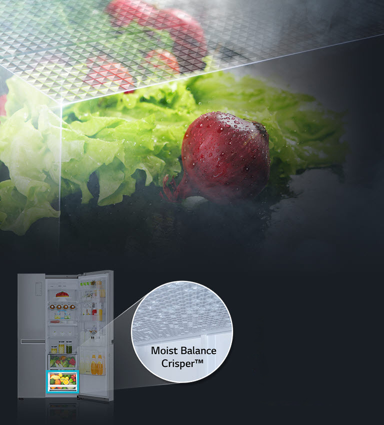 Moist Balance Crisper™2