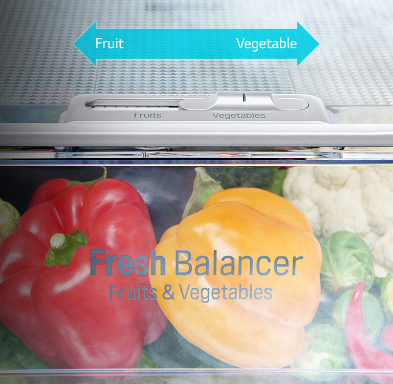 FRESHBalancer2