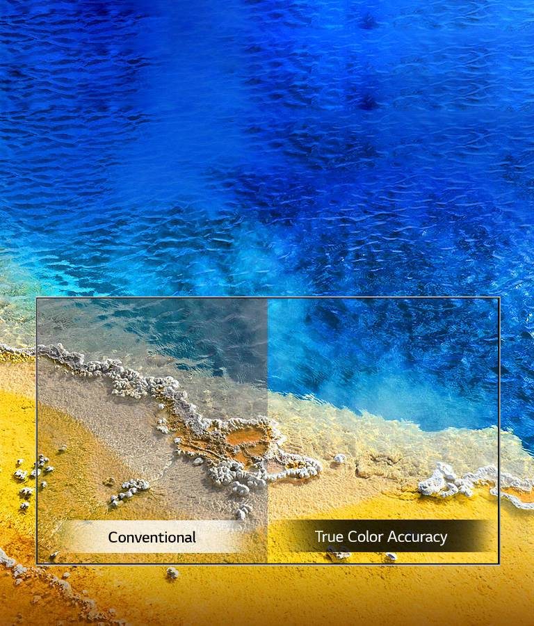 True Color Accuracy2