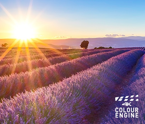 4K Colour Engine