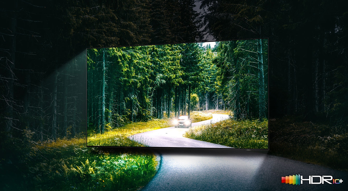 A car is running with lights on through the dense green forest on the TV screen. QLED TV shows accurate representation of bright and dark colours by catching small details.
