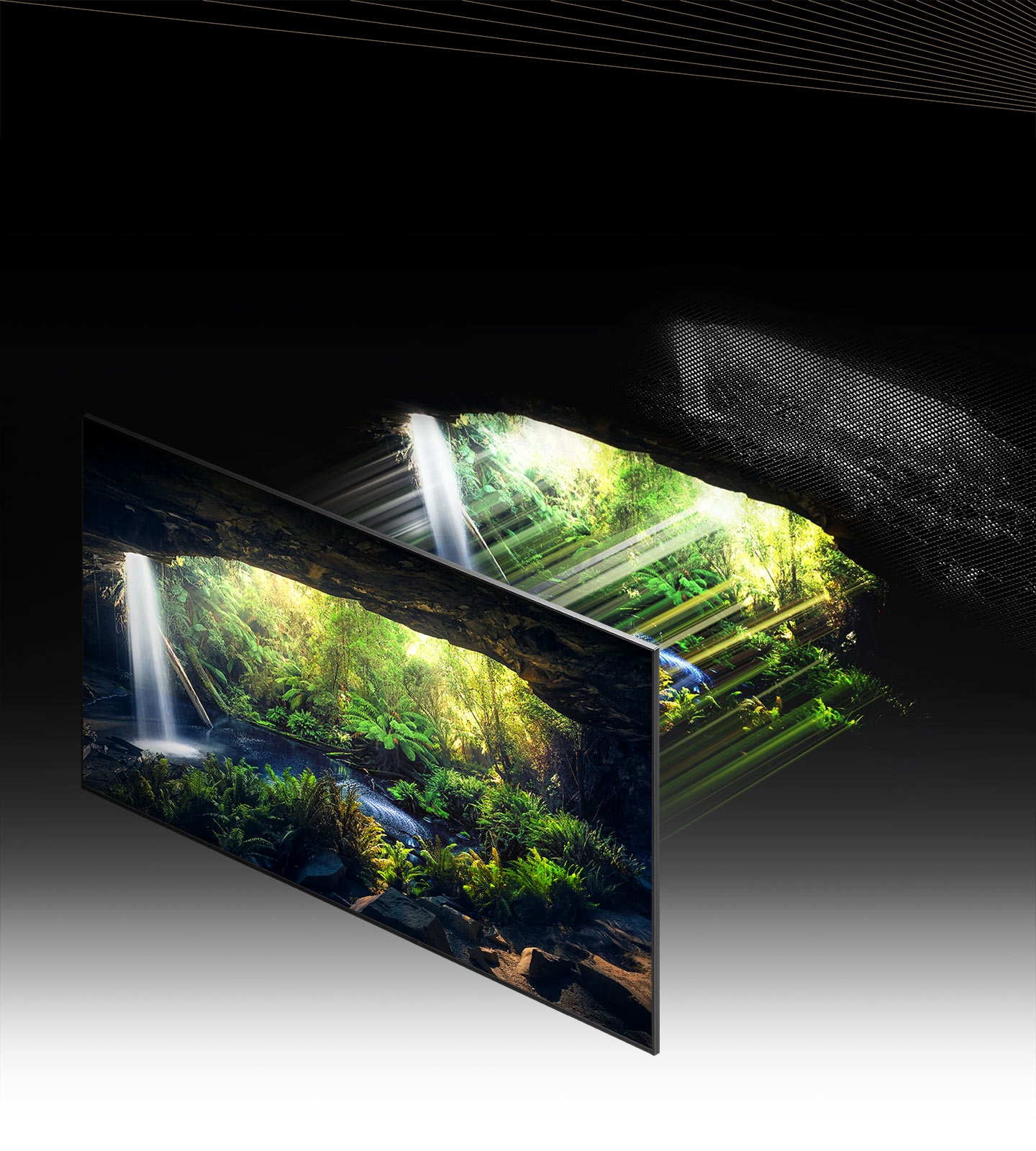 Through the Quantum Mini LED and microlayer, the beautiful forest screen seen from inside a cave is displayed in detail in bright and dark areas, showing very clearly.