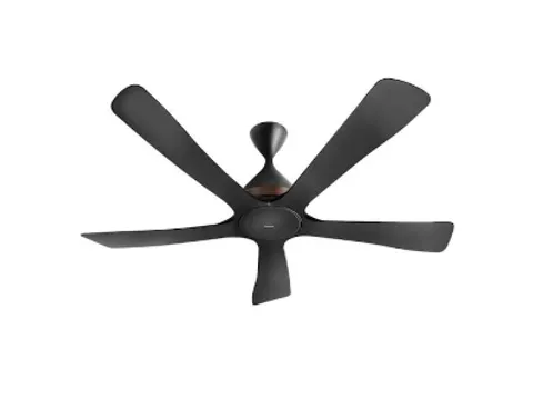 Screenshot 2024-09-29 053053