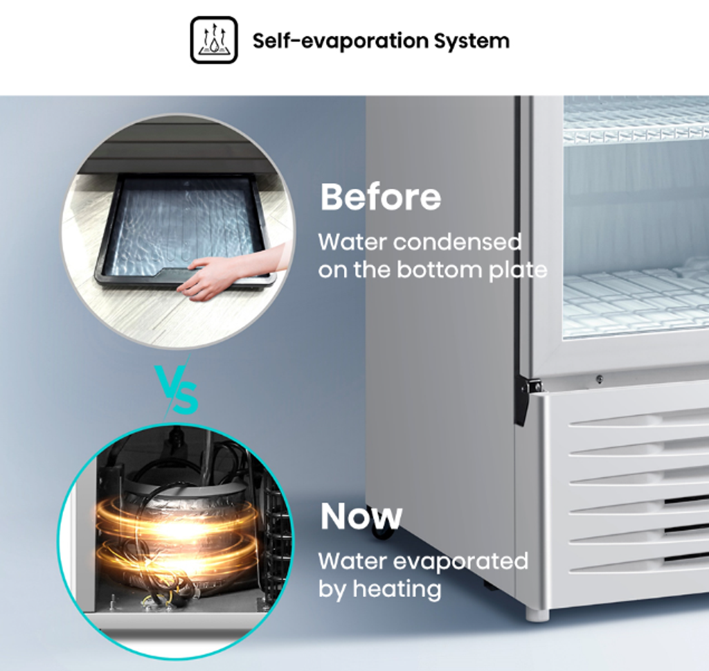 Screenshot 2024-08-11 130814