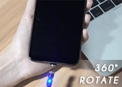pp1.gif