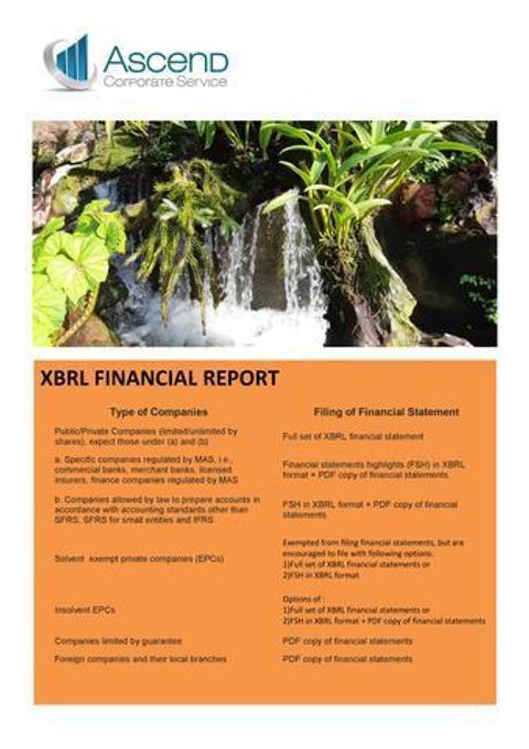 XBRL REPORT.jpeg