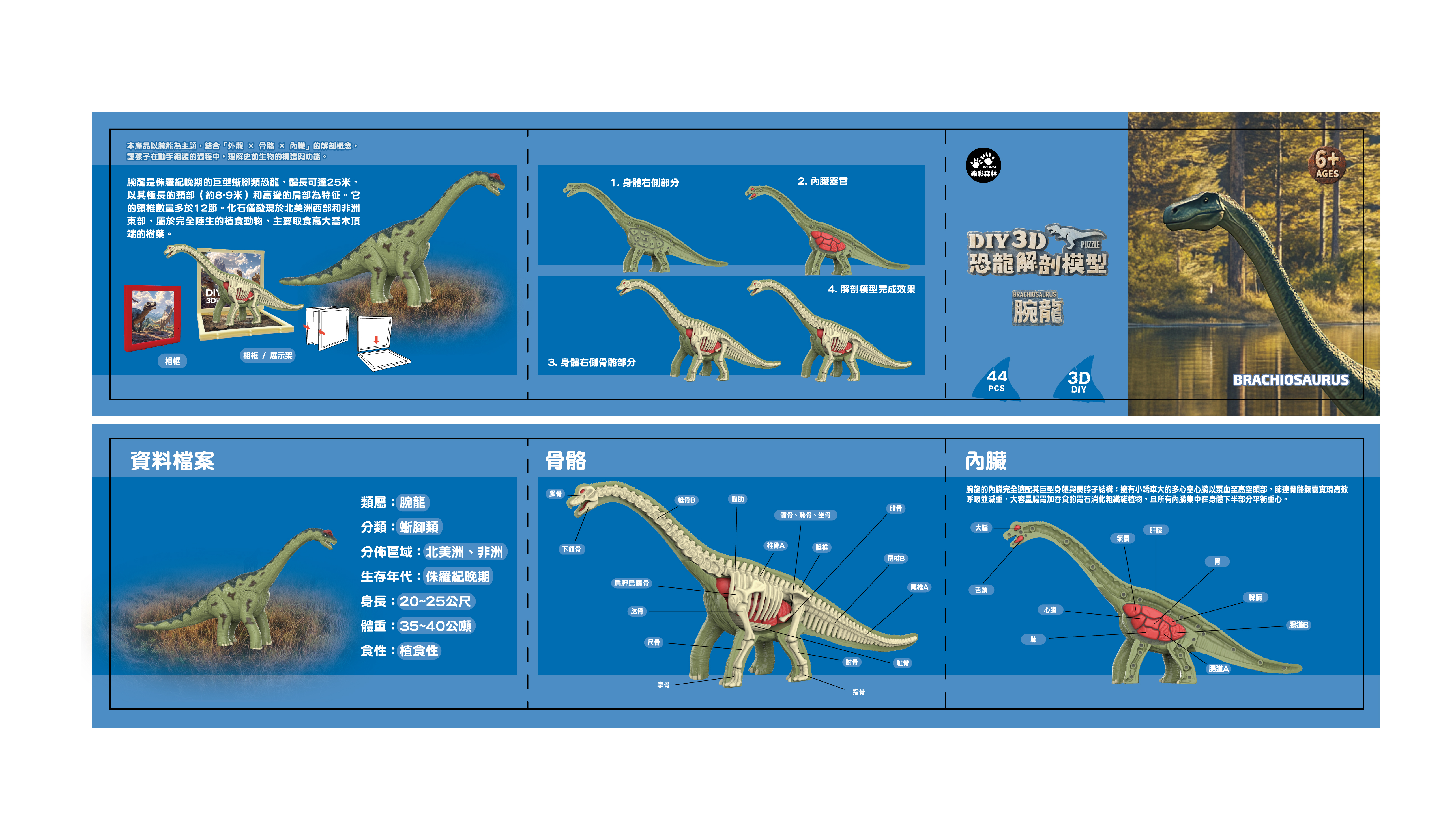 4711514112832-3D腕龍解剖模型-說明書