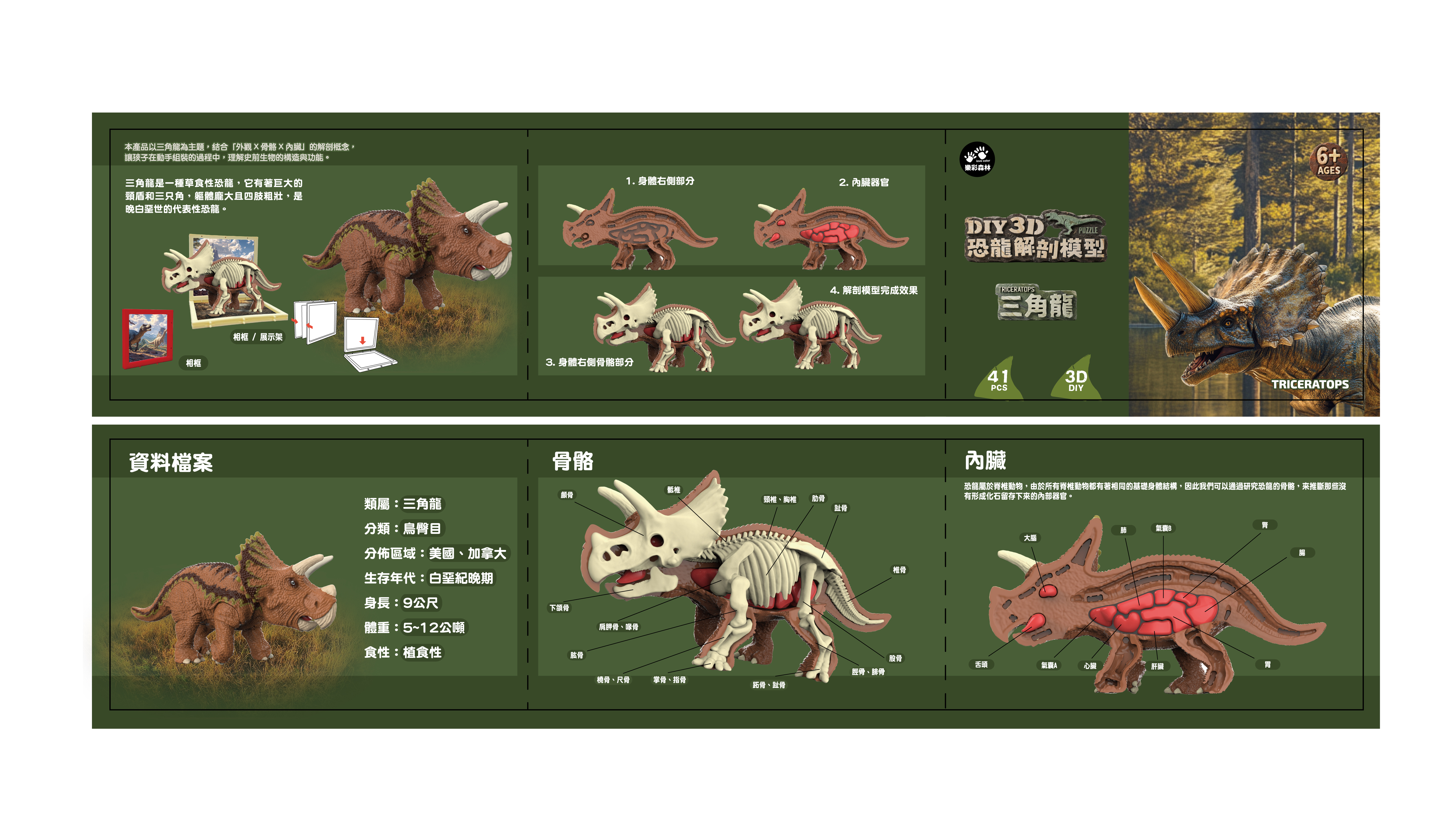 4711514112849-3D三角龍解剖模型-說明書